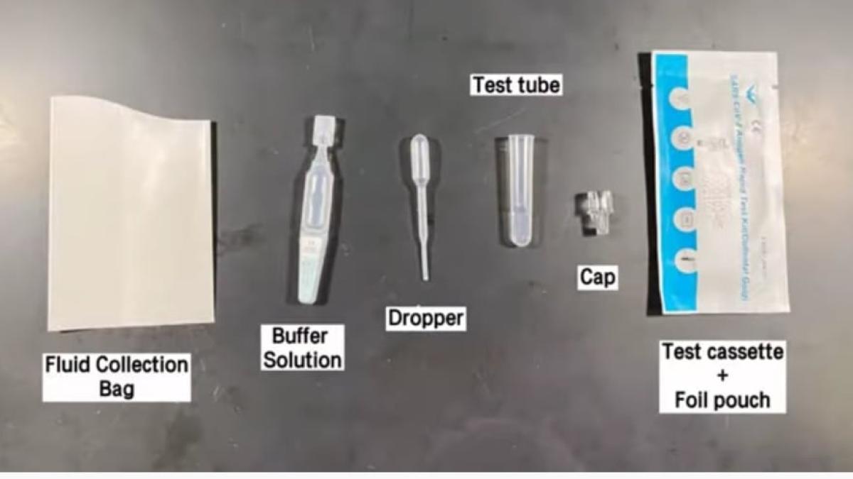 test-saliva-copii_66557600