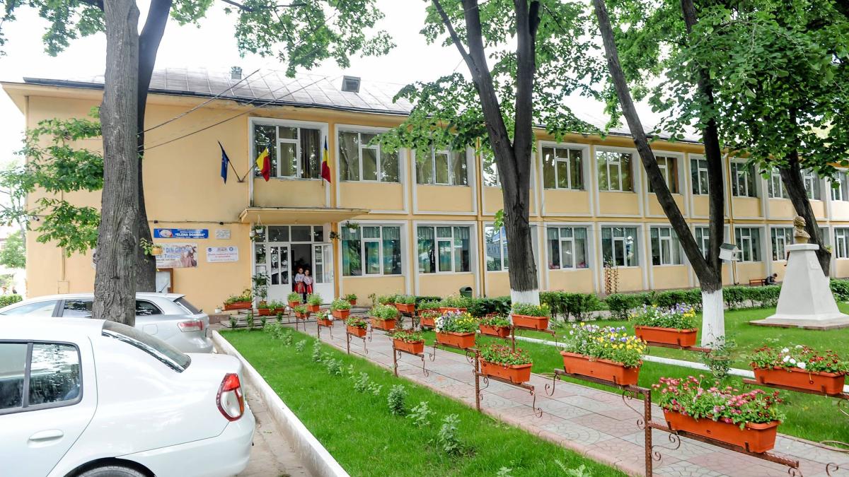 elena-doamna-tecuci_39862300