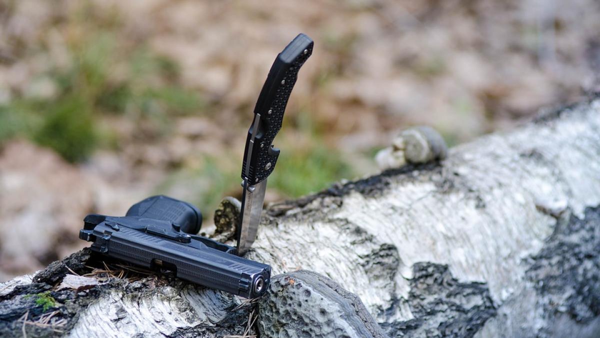 cutitar-pistolar-arad_03483300