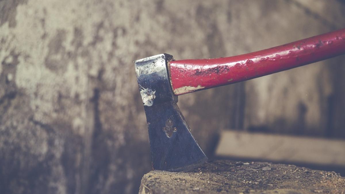 topor-brasov_57643600