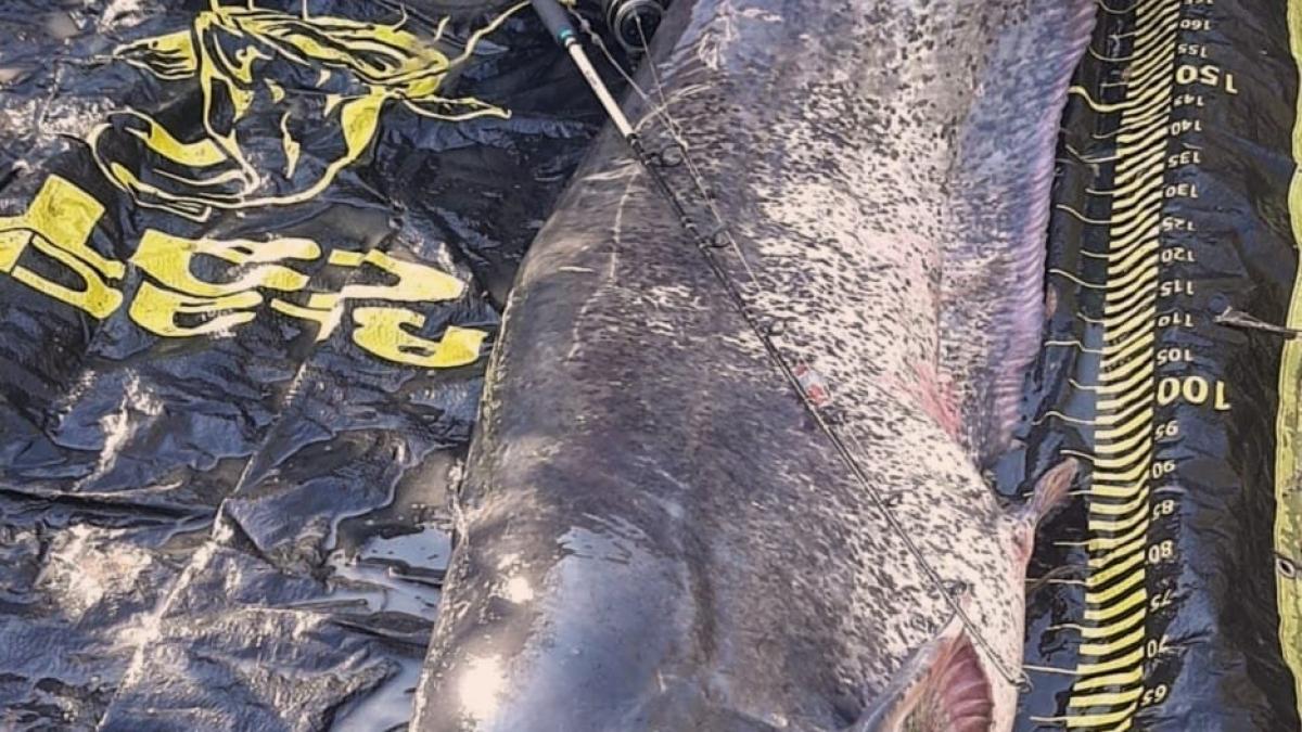 somn-galati_56598000