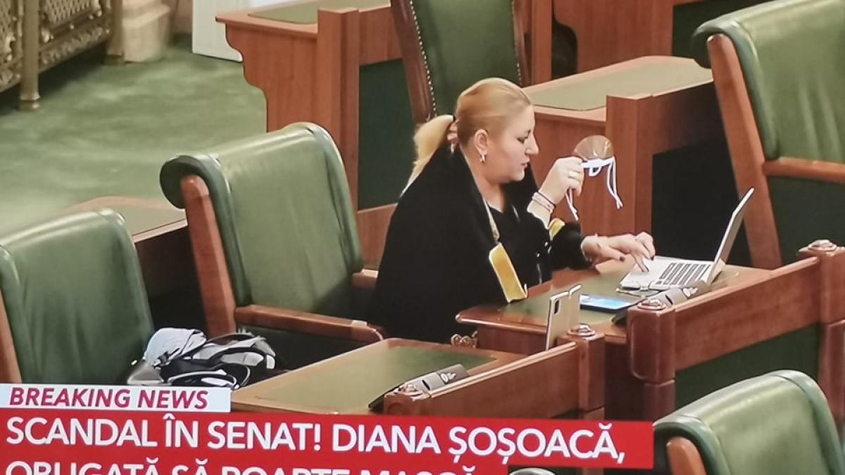 diana-sosoaca-pnl-politie-senat_23079900