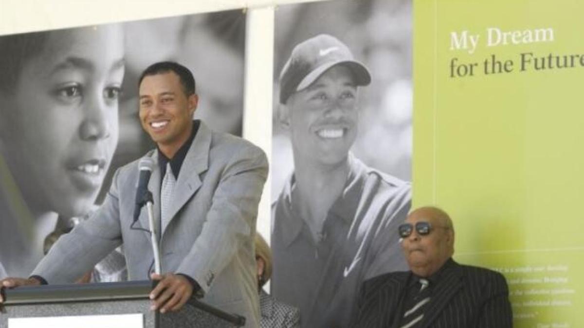 tiger-woods-revine_84178500