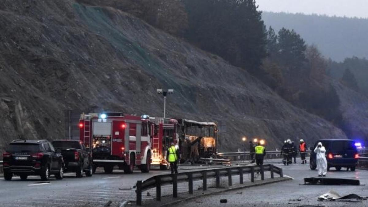 autocar-iprc-ccprc-82n-flaprc-ccprc-86caprc-ccprc-86ri--zeci-de-mortprc-ccprc-a6i--titi-aur--este-cel-mai-probabil-caprc-ccprc-86-asprc-ccprc-a6a-s-a-iprc-ccprc-82ntaprc-ccprc-82mplat_07298400