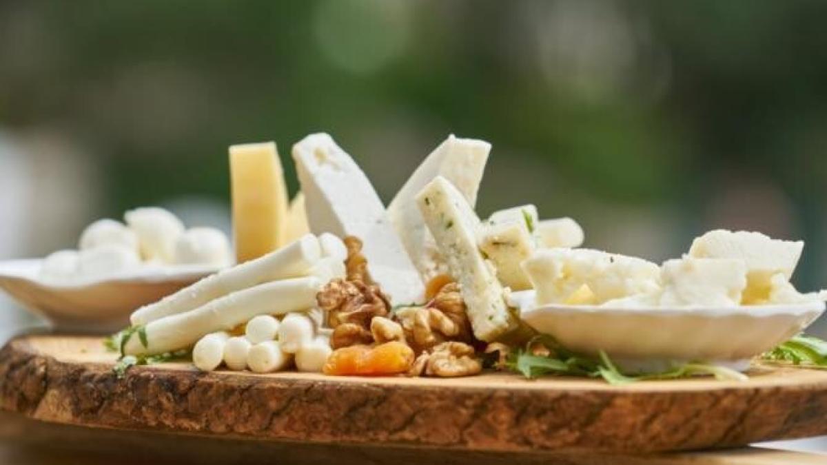 branza_foto_pexels_71479800