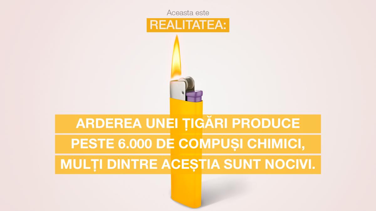 vizual-heres-the--fact_burning_ro_landscape_97938100