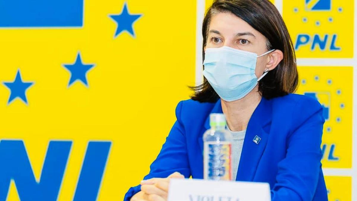 violeta_alexandru_demisie_pnl_fb_21424600
