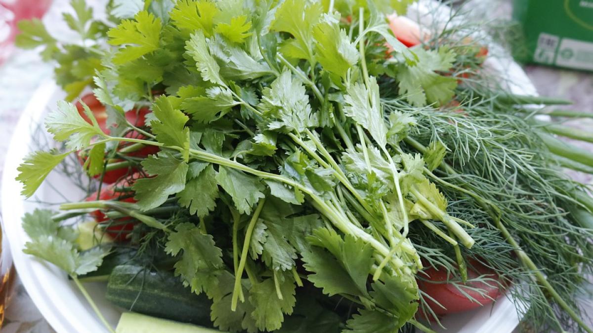 cum-pastrezi-corect-verdeturile-pentru-iarna--patru-metode-eficiente_63751500