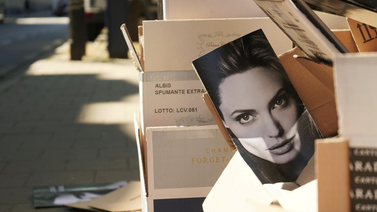 angelina-jolie-4458485_1920_43565100