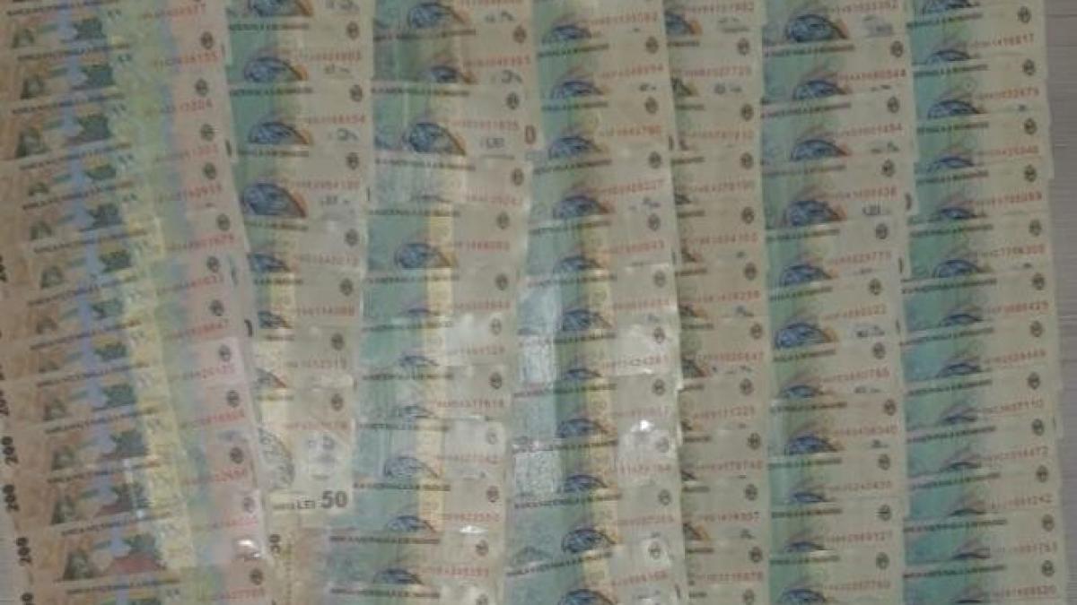 diicot-trafic-droguri-cannabis-bucuresti-2_98143900