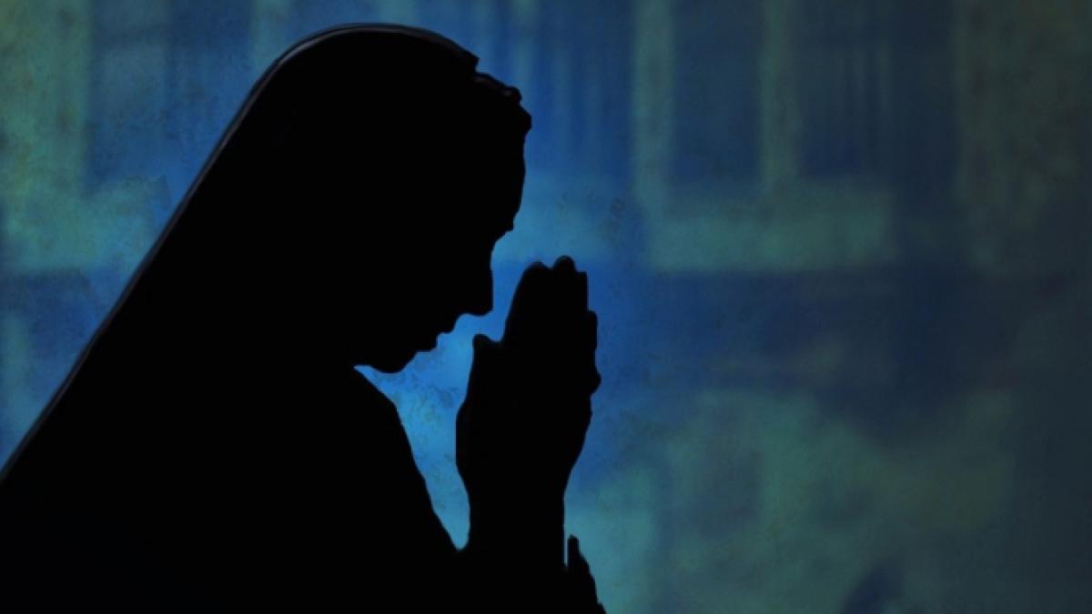 calugarita_pixabay_81197700_86593700