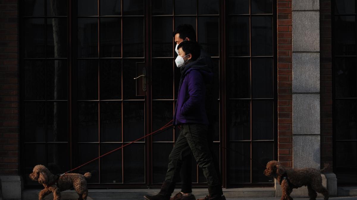 pandemie-nume-alfabet-omicron_02176300