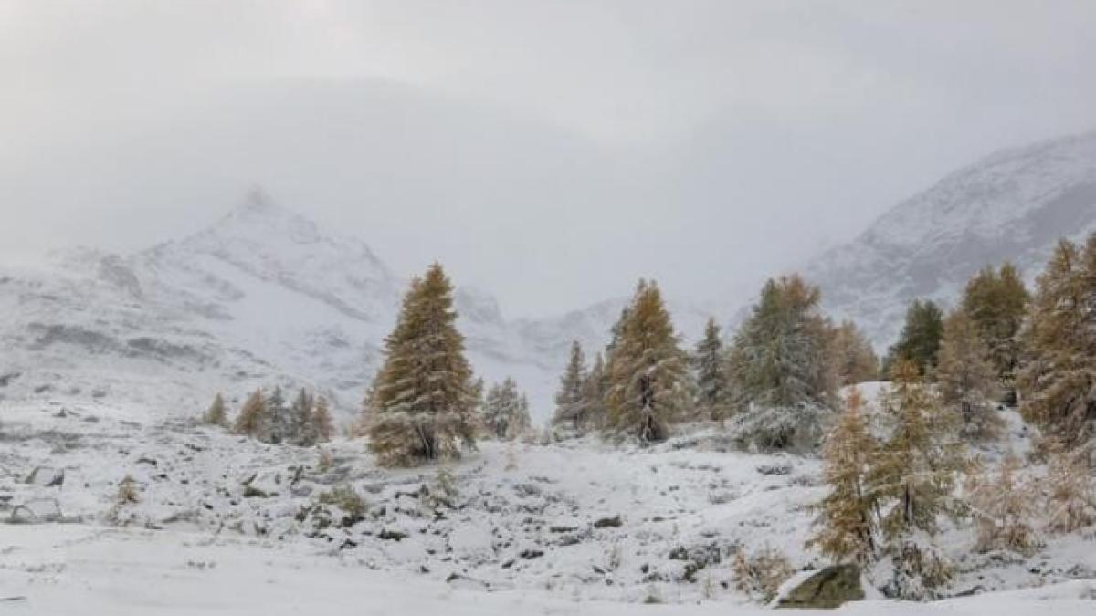 a-venit-iarna-peste-romaprc-ccprc-82nia---14-grade-la-baprc-ccprc-82lea-lac--elena-mateescu_71372000