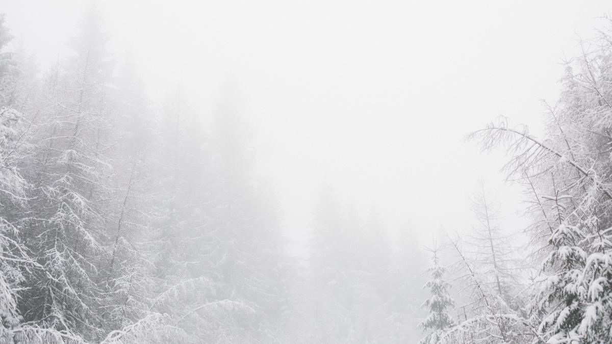 iarna-pexels-adam-lukac-773953_47165300