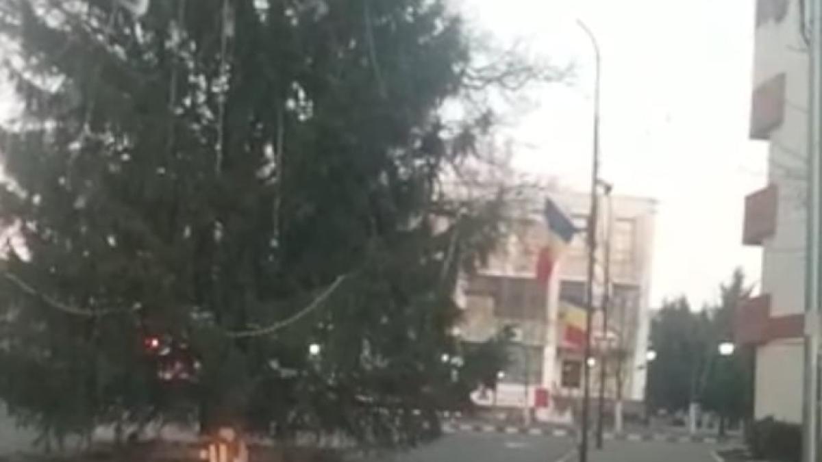 brad-panciu-trafic_30328600