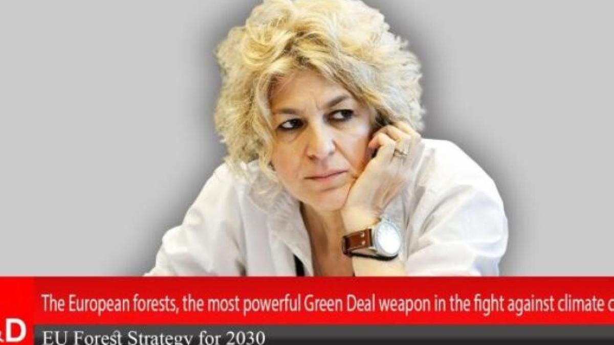 carmen-avram--la-dcnews_90272300