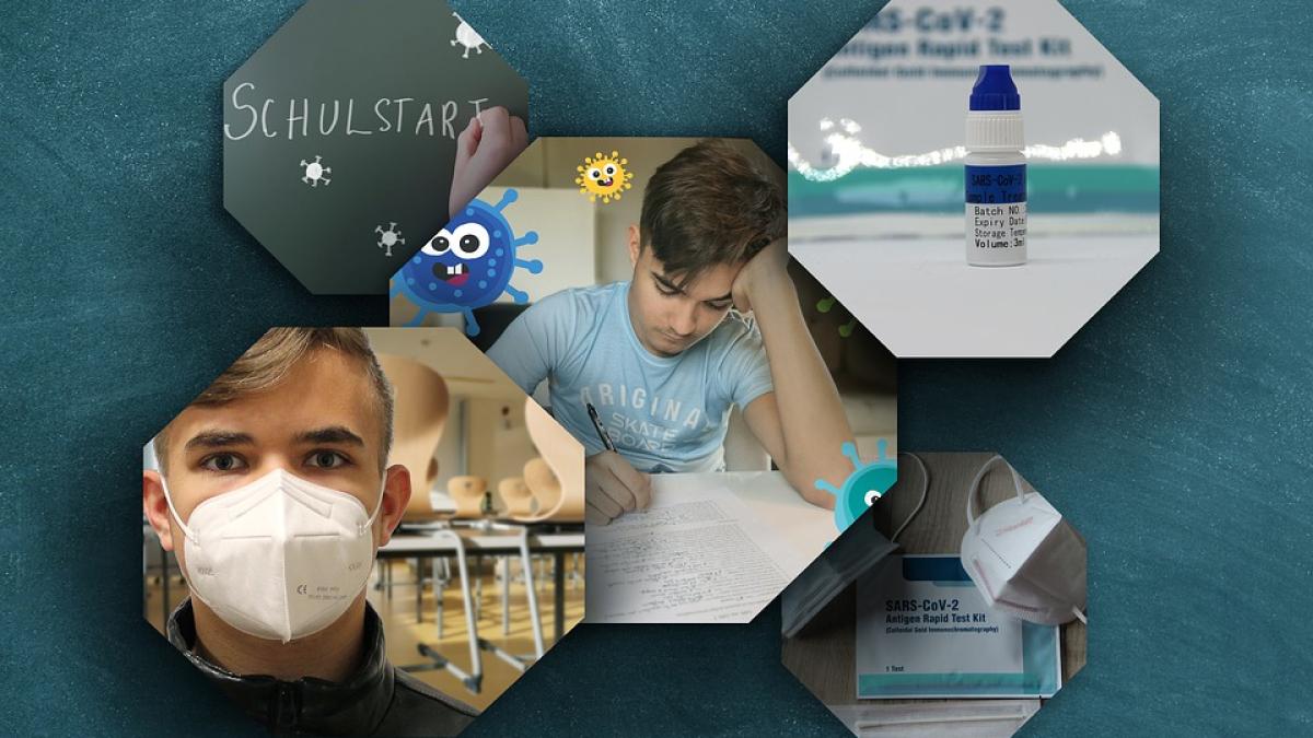 testarea-covid-in-scoli--cum-vor-functiona-scolile-si-gradinite--in-urma-raportarilor_95518700