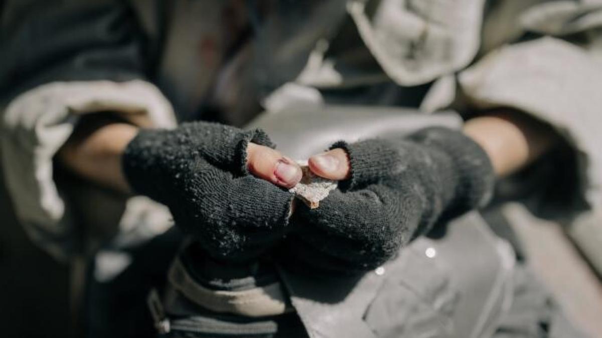 supravietuire-dezvoltare-nod-in-papura_80009800