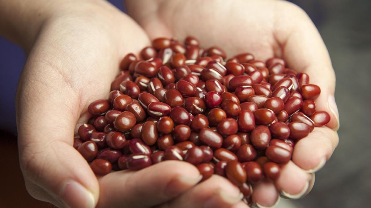 fasole-rosie-sanatate-pericol_19079600