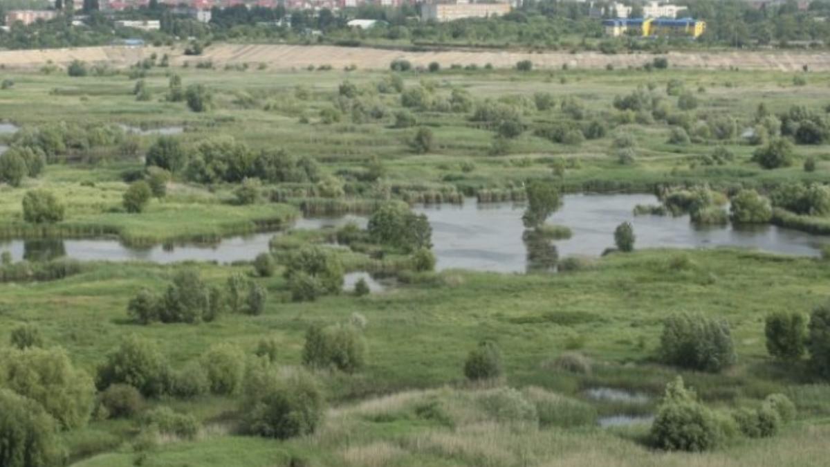 delta-vacaresti_59333400