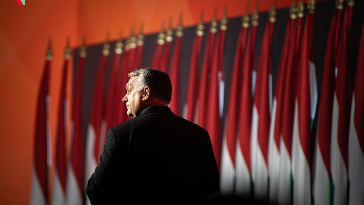 comisia-de-la-venetia-despre-legea-anti-lgbt_34112200