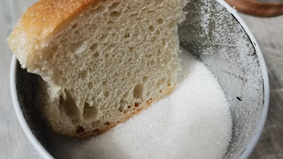 paine-borcan-zahar_50598800