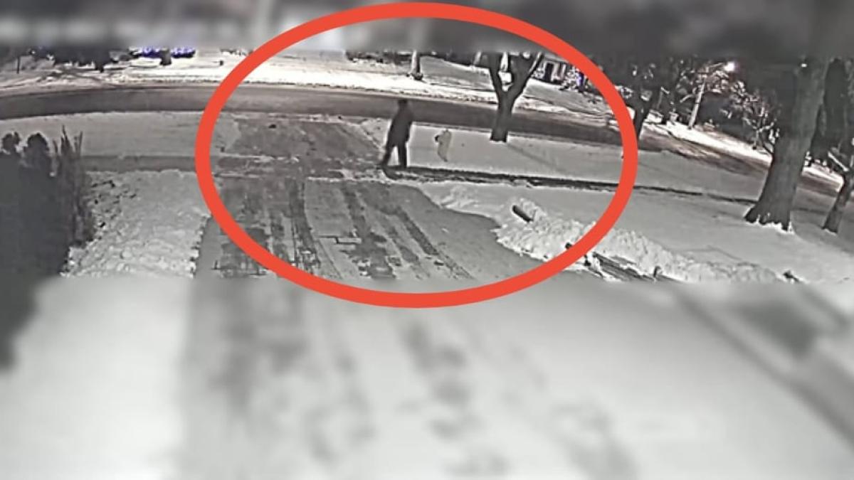 crima-miliardari-canada_51200000