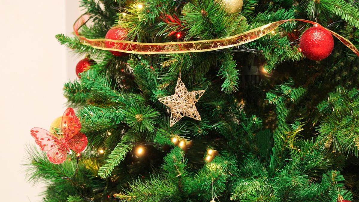 ce-trebuie-sa-faci-ca-bradul-sa-reziste-mai-mult--trucuri-simple-si-foarte-eficiente_83292000