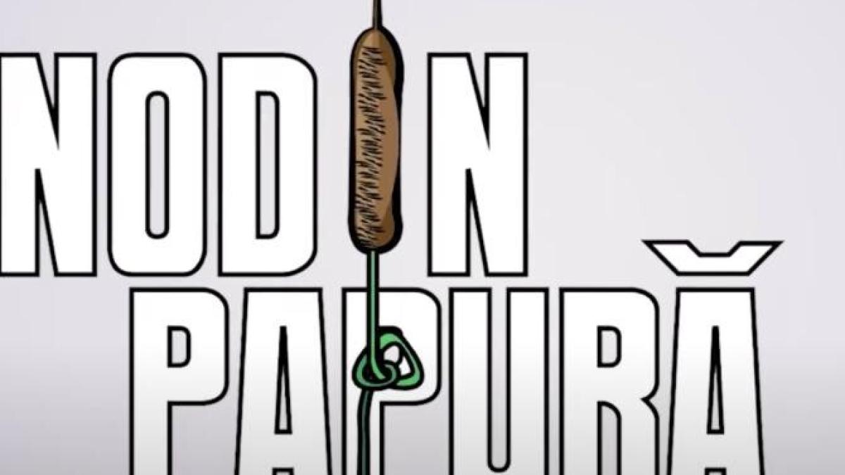 nod-in-papura_68976300