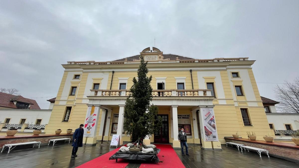 concert-filarmonica-sibiu_61897300