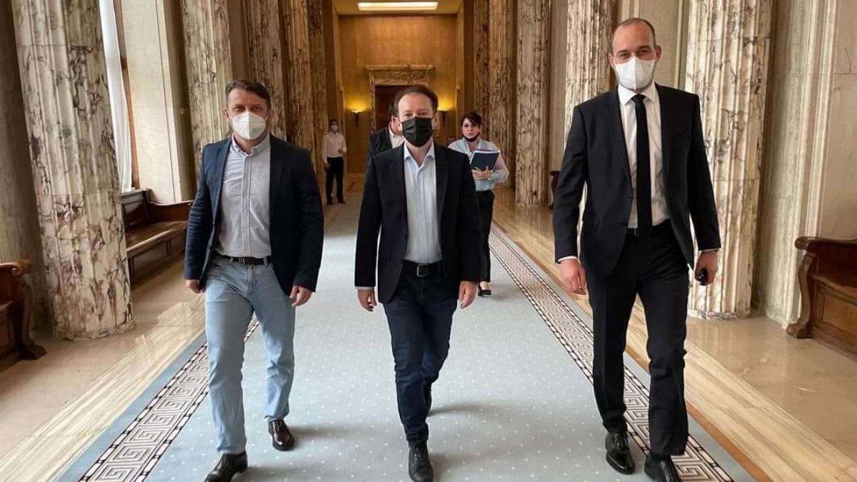 buget-investitii--gheorghe-pecingina-pnl-sistemul-nu-are-cum-sa-fie-sustenabil_96336800