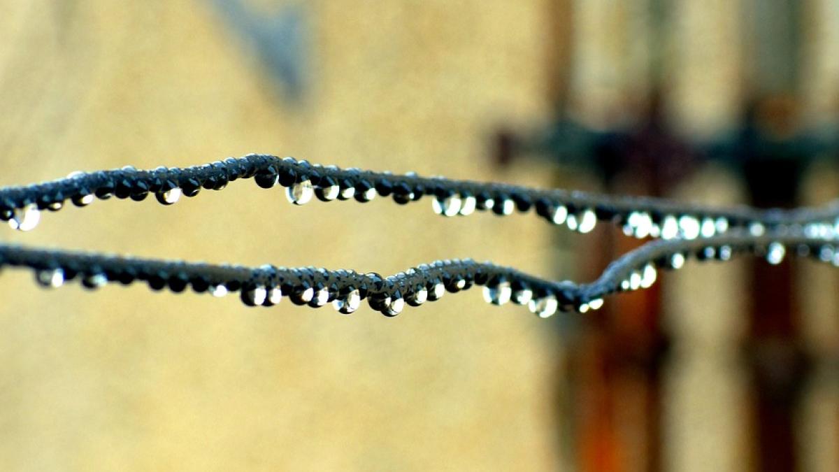 ploaie-anm-vreme_97385200