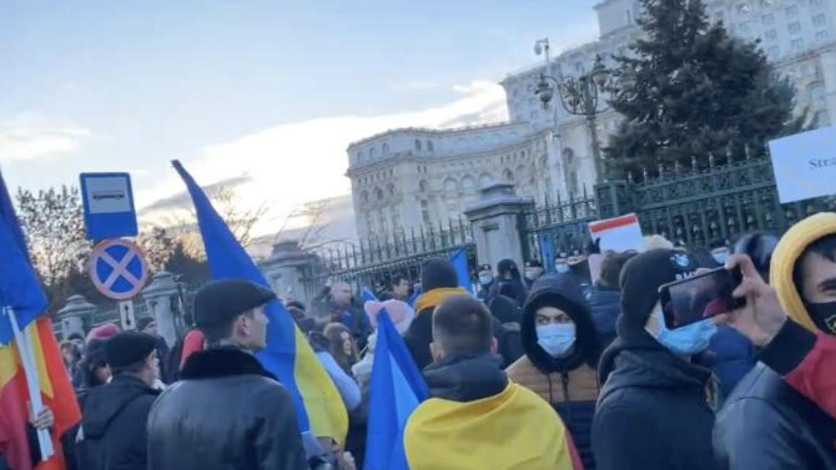 protest-parlament_06803200