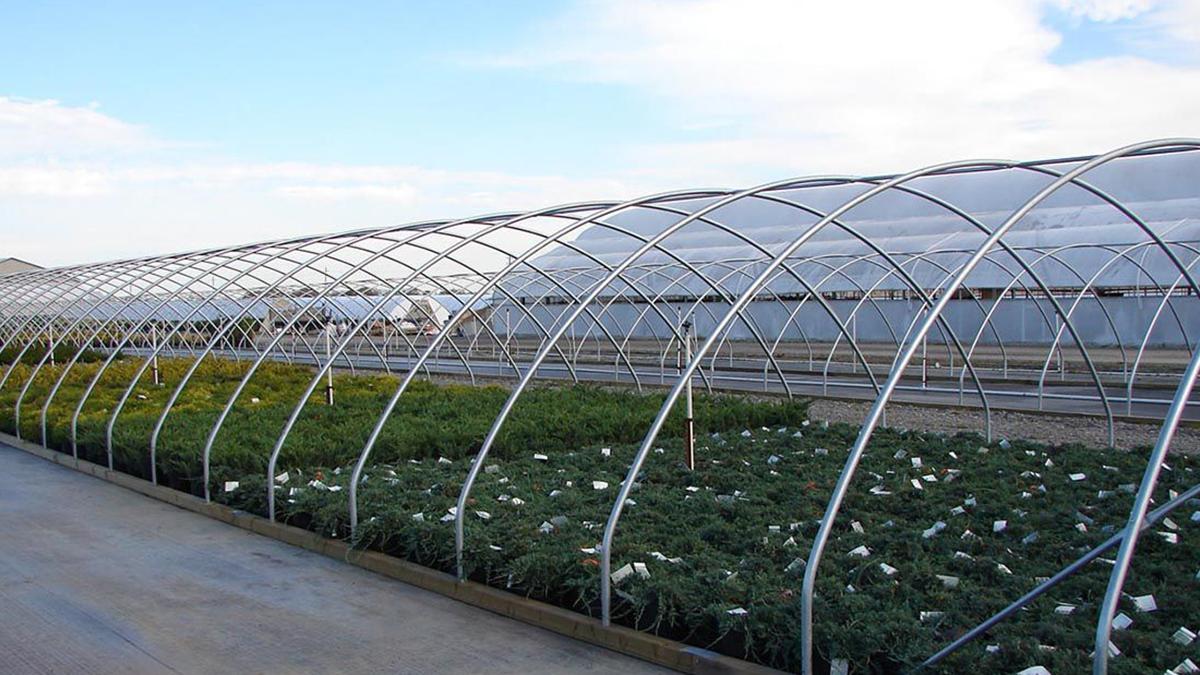 dcnews-ro-regalfermierul-ro_46661300