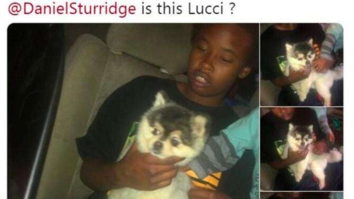 captura_twitter_lucci_caine_sturridge_11230900