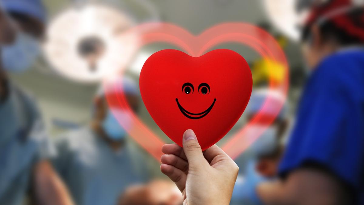 transplant_organe_pxb_34269300