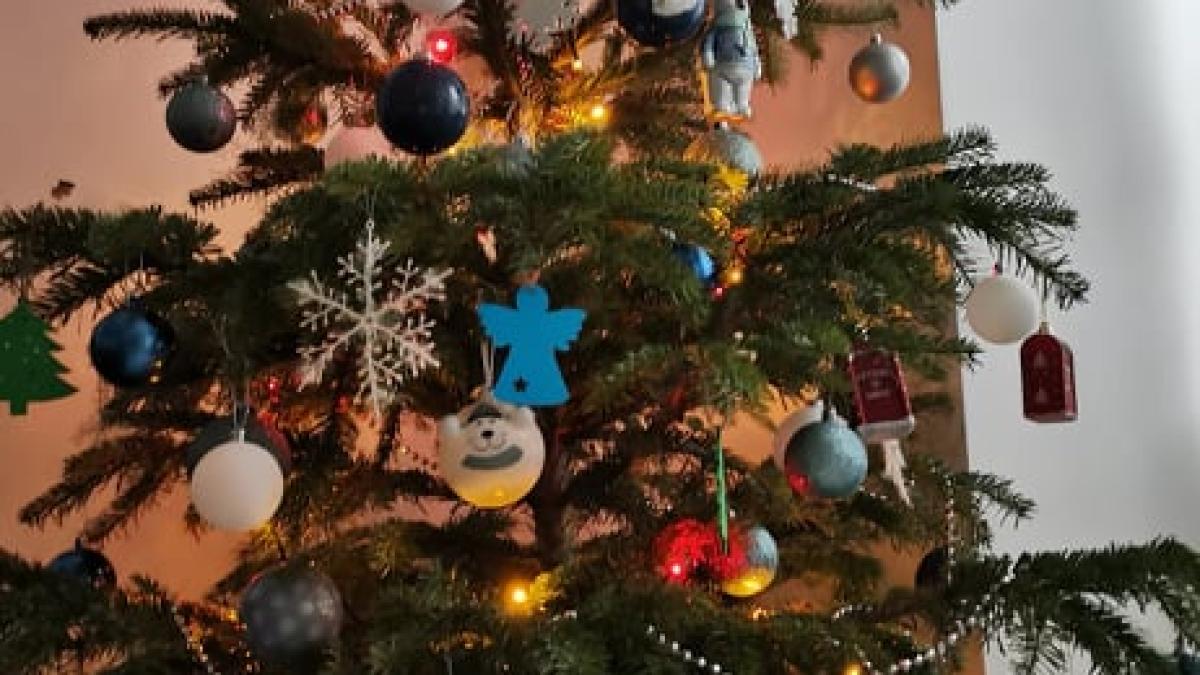 brad-craciun-de-ce-nu-e-bine-sa-il-arunci_90783400