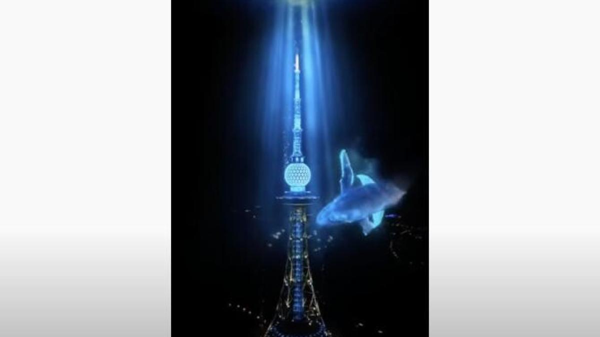 beijing-anul-nou_62363400