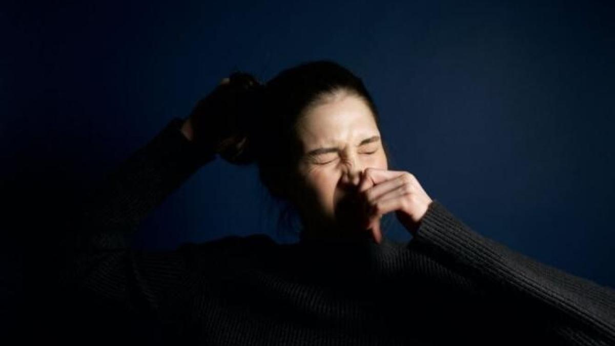 stranut_foto_pexels_38100800