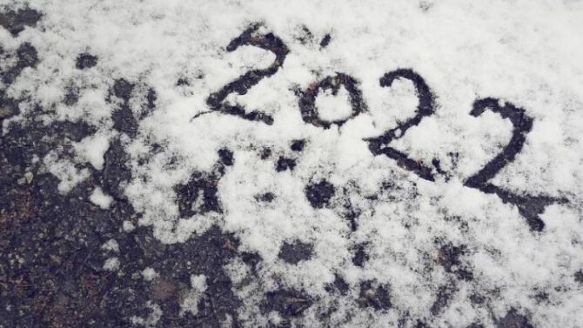 previziuni-2022_63354400