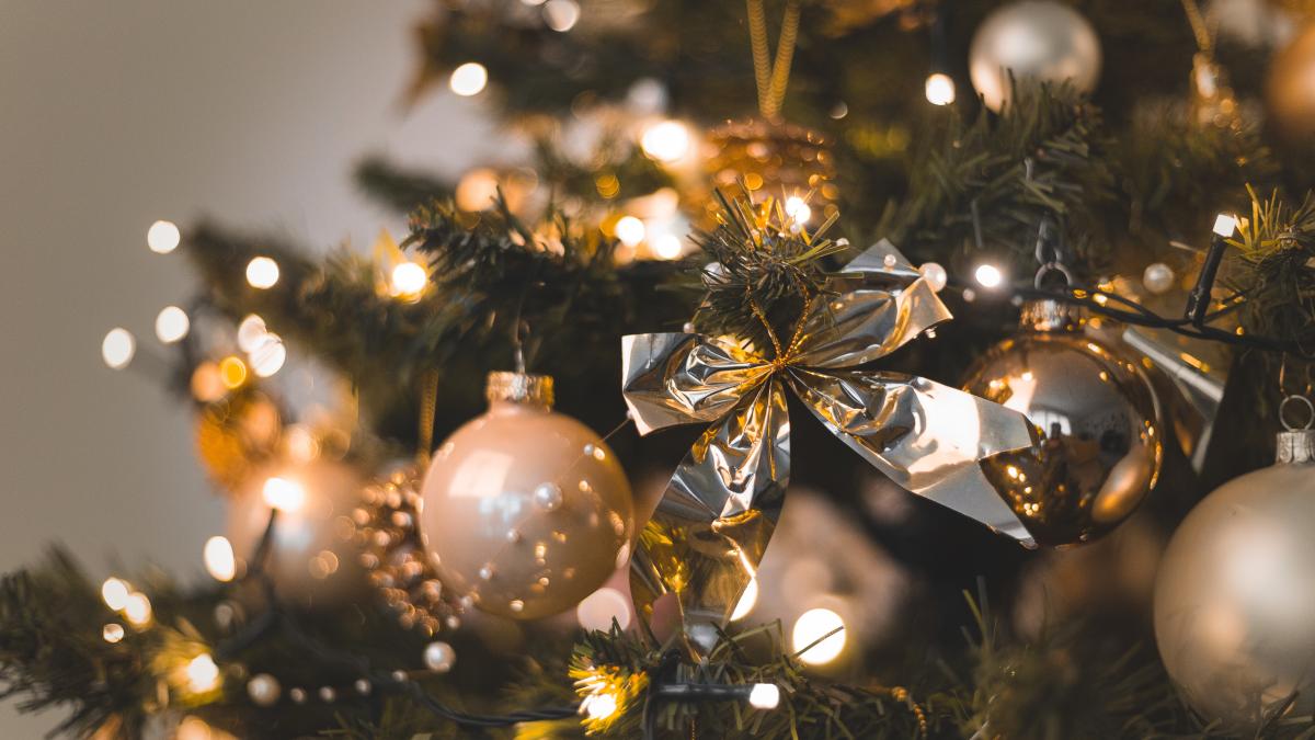 brad_craciun_despodobire_pxl_48263600