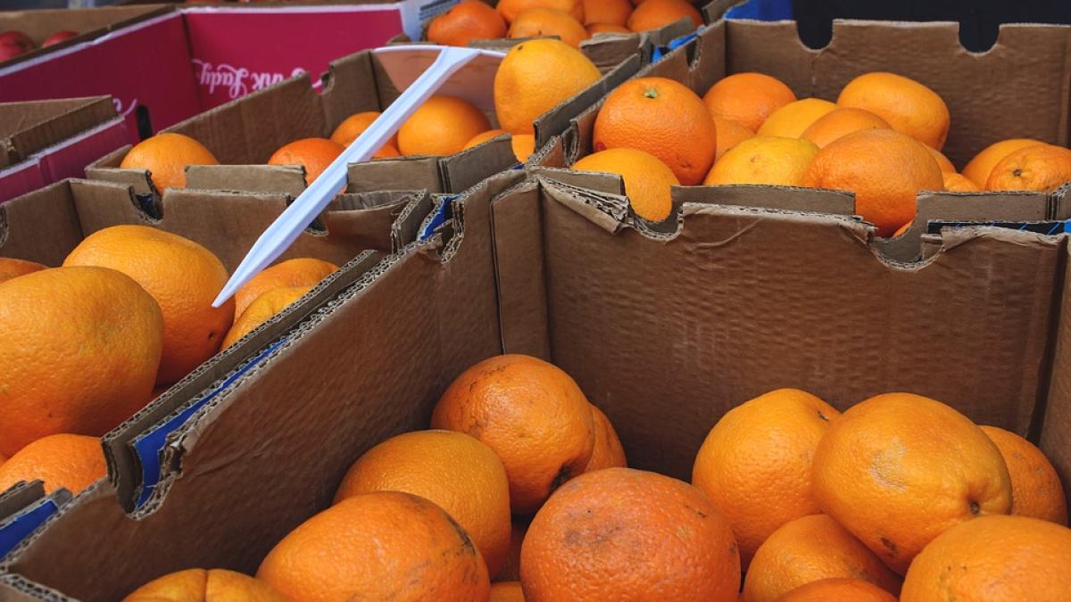 portocale-infocons-pericol_58980300