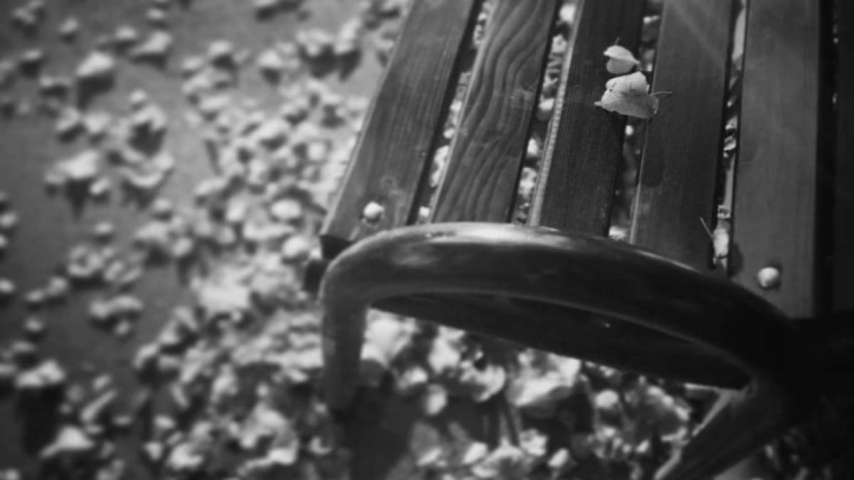 romania_festival_1953_ciachir_pxl_97396400