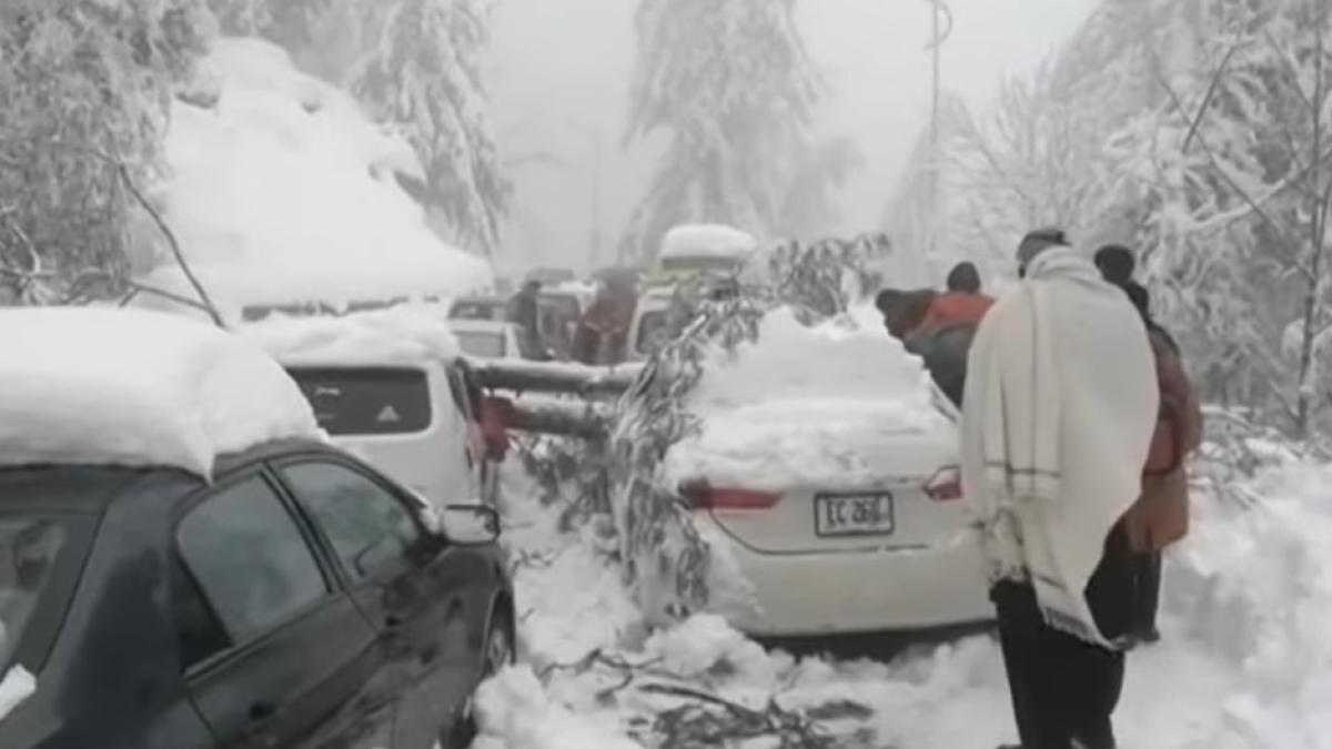 zapezi-abundente-in-pakistan_60377500