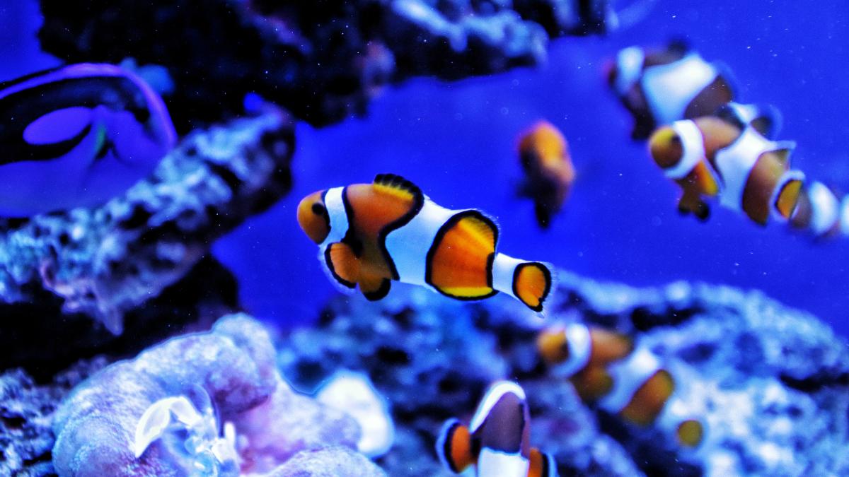 pexels-andreas-l-3626111_59841200