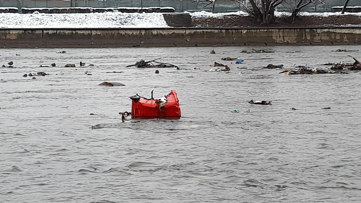 gunoi-somes_88597500