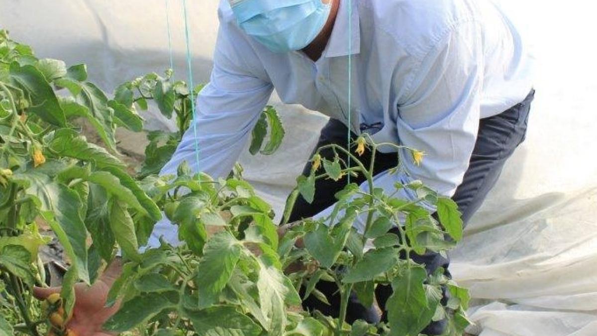 gheorghe-stefan--functie-dubla-in-acelasi-minister--dar-incompatibil--cum-a-prins-pestele-cel-mare--dupa-pescuitul-din-maldive_59586200