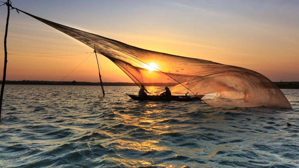 plasa-de-pescuit_14891500