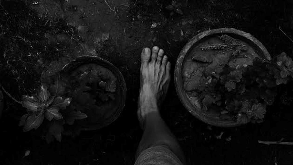 beneficiile-impamantarii_02746600