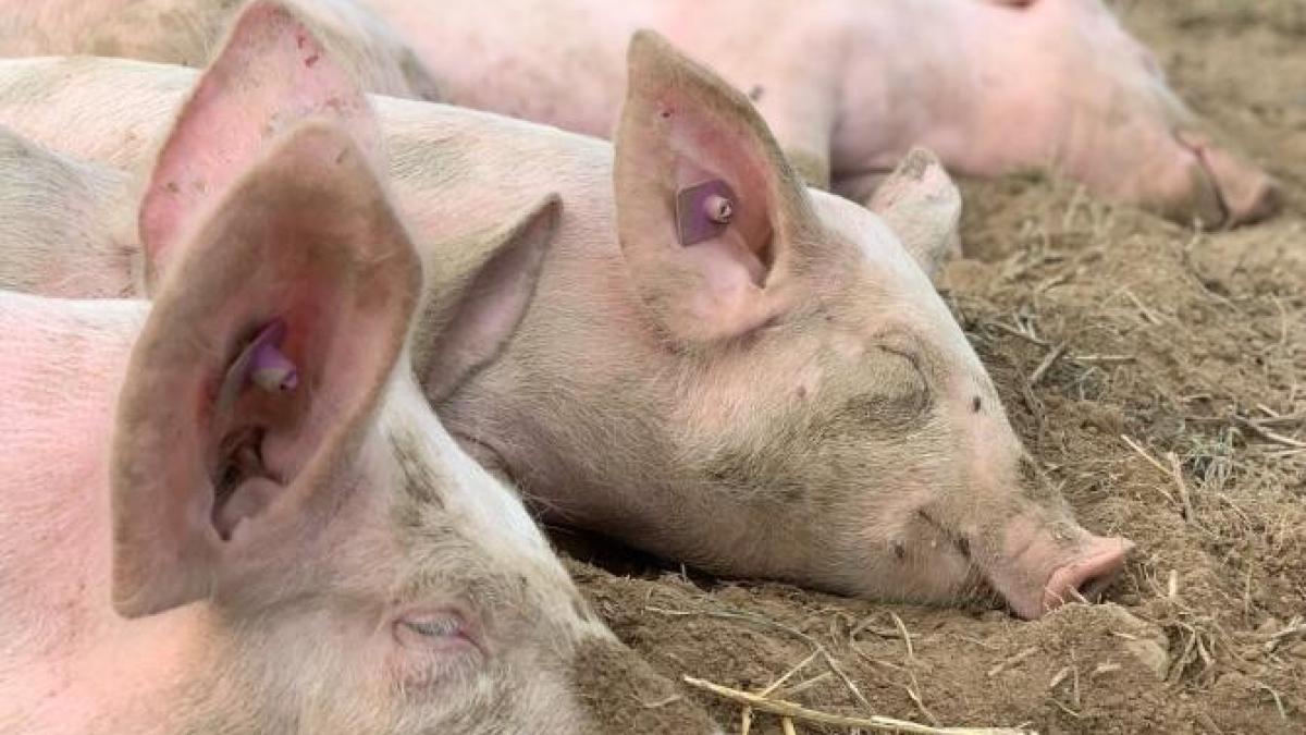 scoala-purcei-elevi-china_13793300